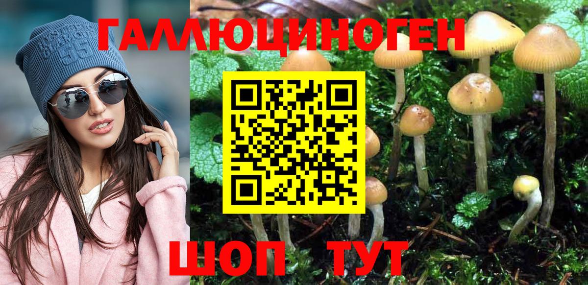 наркота  Вход с VPN  Удомля  Псилоцибиновые грибы GOLDEN TEACHER 